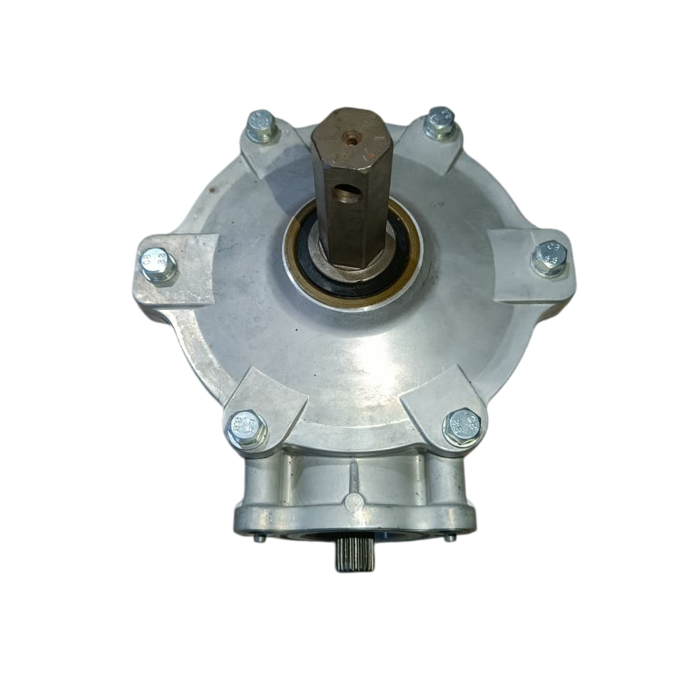 whatsapp image 2025 12 04 at 11.21.21 am photoroom